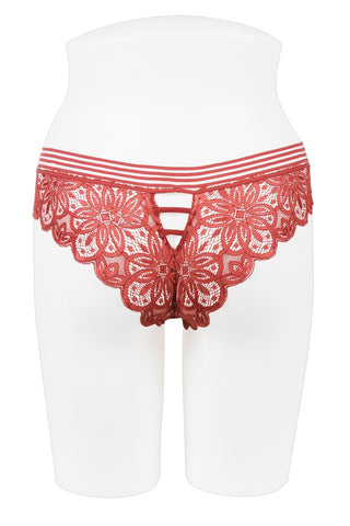 Ladies all lace bikini