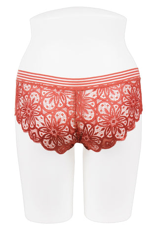 Ladies all lace hipster