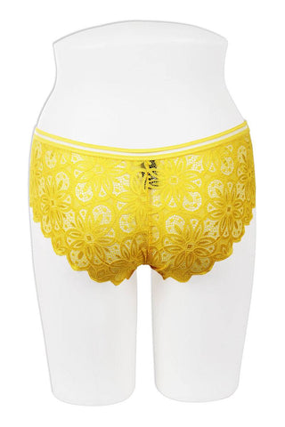 Lace bikini with mesh band