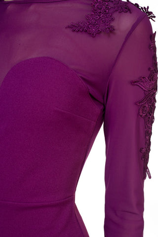 Long Sleeve Floral Mesh Dress