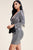 Metallic Trans Bell Sleeve Short Dress
