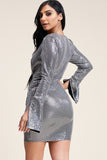 Metallic Trans Bell Sleeve Short Dress