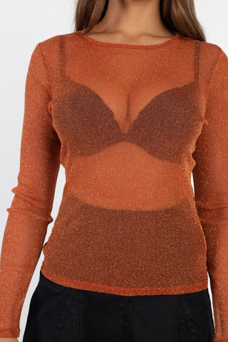 Sheer Mesh Metallic Top