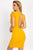 Back Cutout Floral Lace Mini Dress