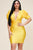 Solid Short Puff Sleeve Dress With Plunged V Neck Line