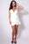 Ruffled Detail Surplus Wrap Dress