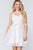 Lace Stiff Meshed Cami Mini Dress