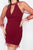 Pearl Trim Mesh Bodycon Dress