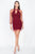Pearl Trim Mesh Bodycon Dress